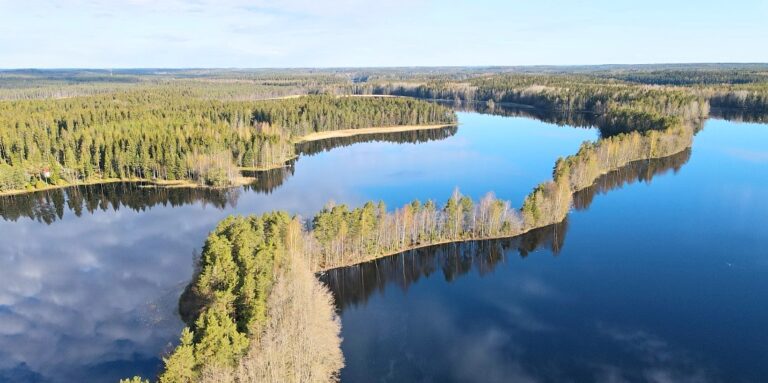 Liesjärven kansallispuisto