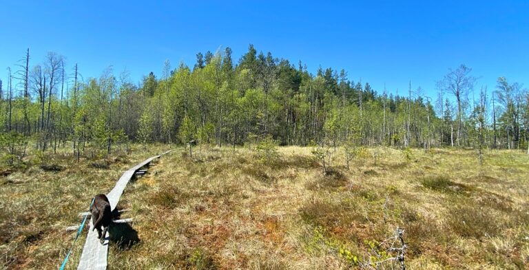 Nenustan kierroksella Teijon kansallispuistossa