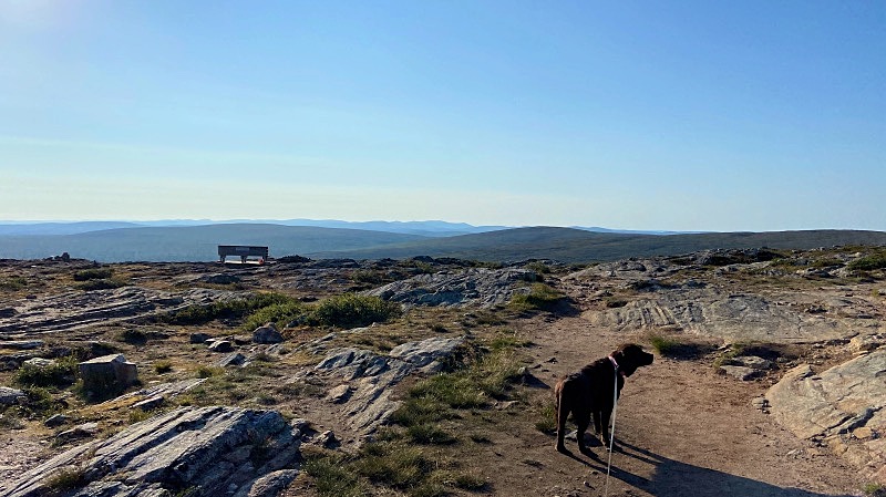 Huipulla. "Ulkona. Perillä" -penkki näkyy taustalla.