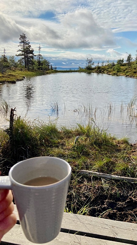 Riisin rääpäsyn ikkunalammella kahvilla