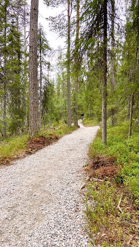 Taivaan tavoittelijan taipaleen helppokulkuista polkua