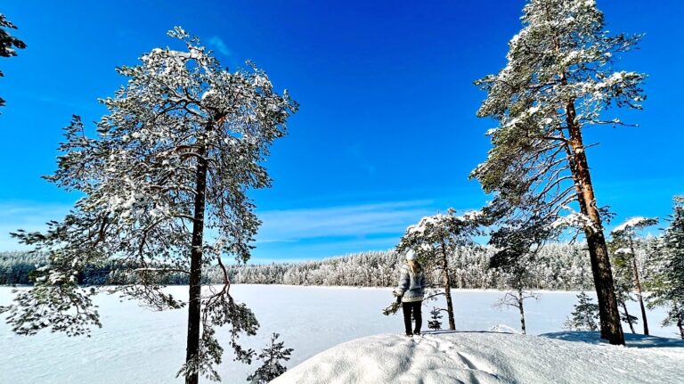 Niemisjärvi Evolla talvella