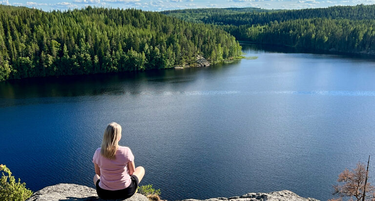 Sulkavan linnavuori / pismalahden linnavuori